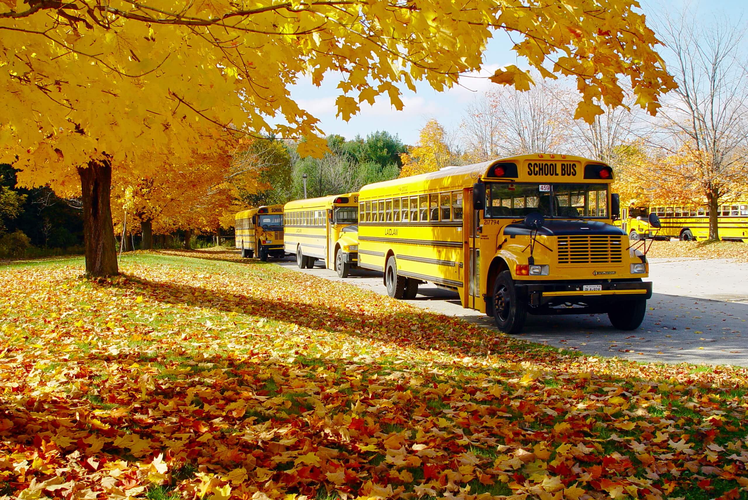 L’ACP partage les inquiétudes de l’AQP concernant le retrait injustifié d’autobus scolaires au propane à faible émission au Québec
